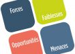mercatique et territoires - swot